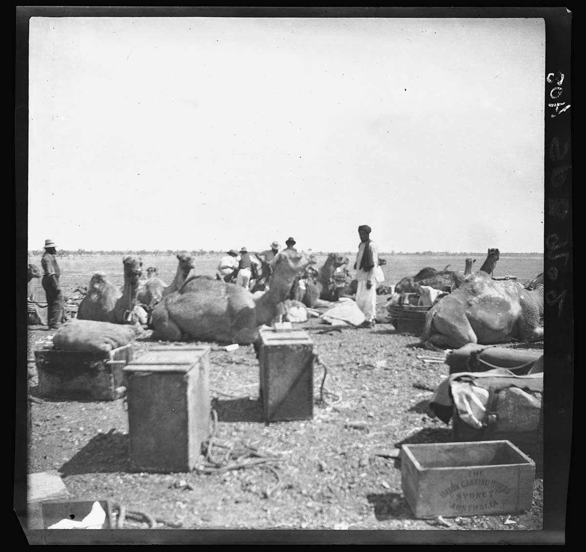 Oodnadatta campsite with camels, expedition members and equipment, South Australia 1903. In the foreground are two large wooden enclosed boxes and a smaller open box. Behind them are seven camels at rest on the ground. In amongst them are expedition team members; some appear to be carrying equipment or camping stores. Standing in the middle ground facing the camera appears to be an Afghan camel driver. The campsite is on a vast open plain. Trees on the horizon behind the group are quite some distance away. - click to view larger image