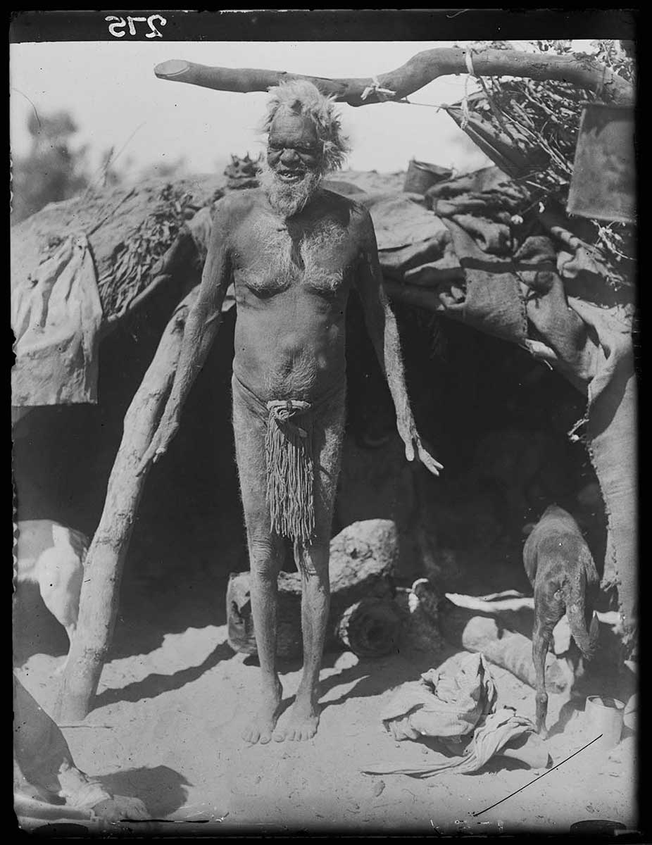 An elderly Aboriginal man standing in front of a hut facing the camera, Innamincka, South Australia 1919. The hut is about the same height as the man. It has a rough domed timber frame and is covered in a variety of materials. These materials appear to be animal skins and European cloth. A dog stands to the man's left, with its back to the camera and its head just inside the hut. - click to view larger image