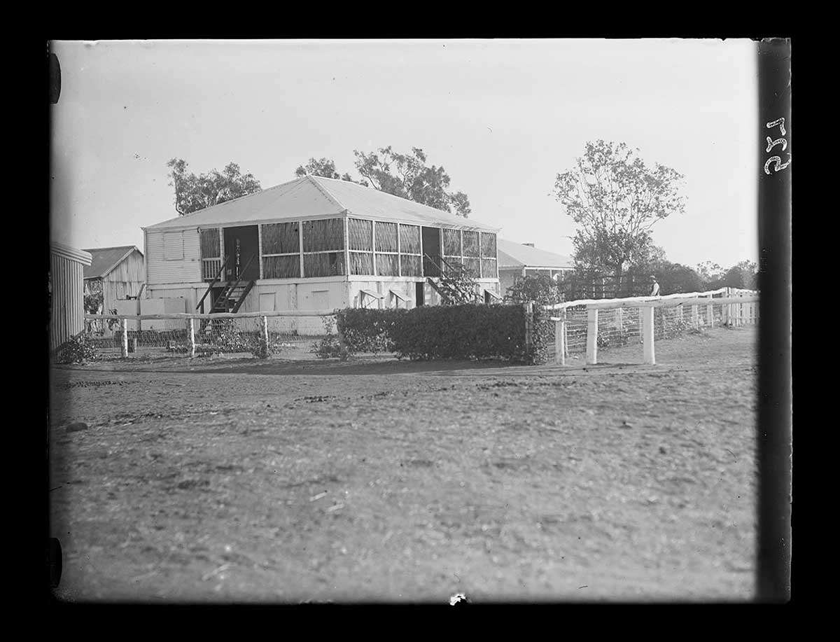 Buildings, Victoria River Downs station, Northern Territory 1922. A raised house with an enclosed verandah is in the middle of the image. It has a simple timber and wire fence in front and to one side. Part of the fence is covered by a creeping vine plant. A second house and farm shed are visible in the background. A few tall trees are behind them. - click to view larger image