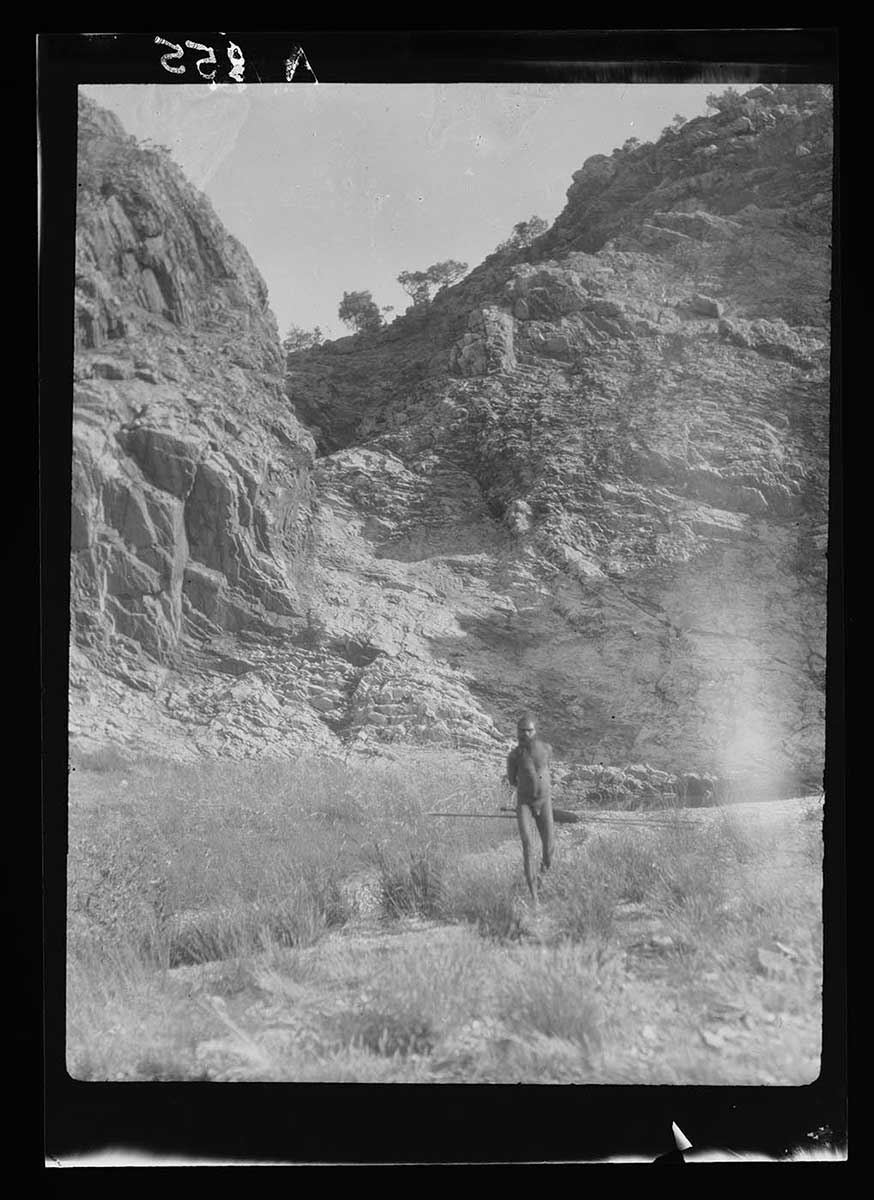 An Aboriginal man at the Piltadinya Waterhole, Petermann Ranges, Northern Territory 1926. The man is in the centre middle ground of the image, walking toward the camera, holding a spear and shield horizontally behind him. He is dwarfed by two large rough rock faces in the background. Their surfaces show evidence of prolonged weathering and splitting away of large sections of rock. The head of a pass between the rock formations is visible in the upper centre background. The foreground shows tufts of grass growing amongst rocky patches. - click to view larger image
