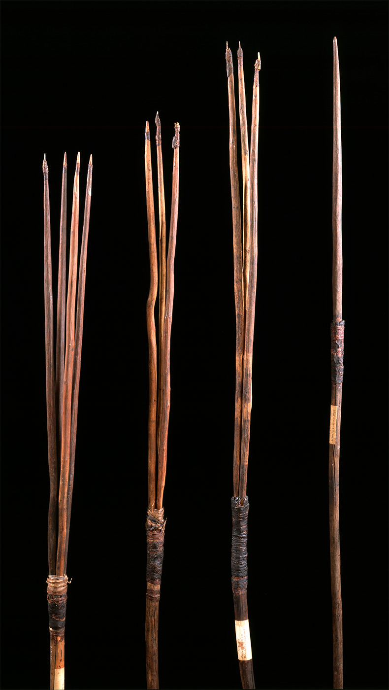 Four wooden spears with either one, three or four prongs. - click to view larger image