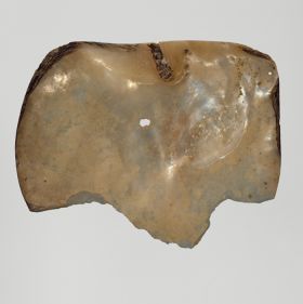 Mother-of-pearl shell used as part of a pair of clappers or castanets.