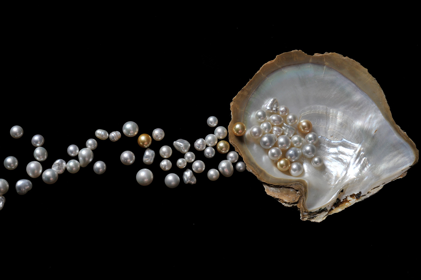 Pearls scattered over an oyster shell - click to view larger image