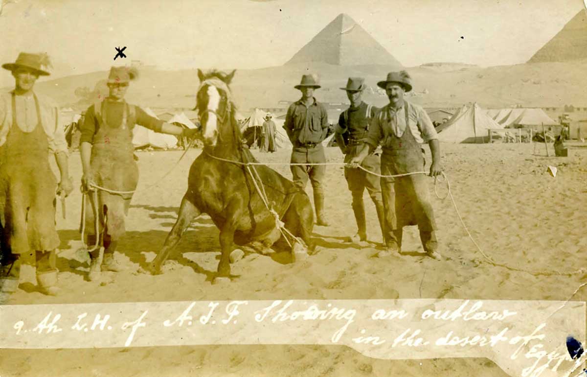 Black and white photo of five men and a horse in the desert.