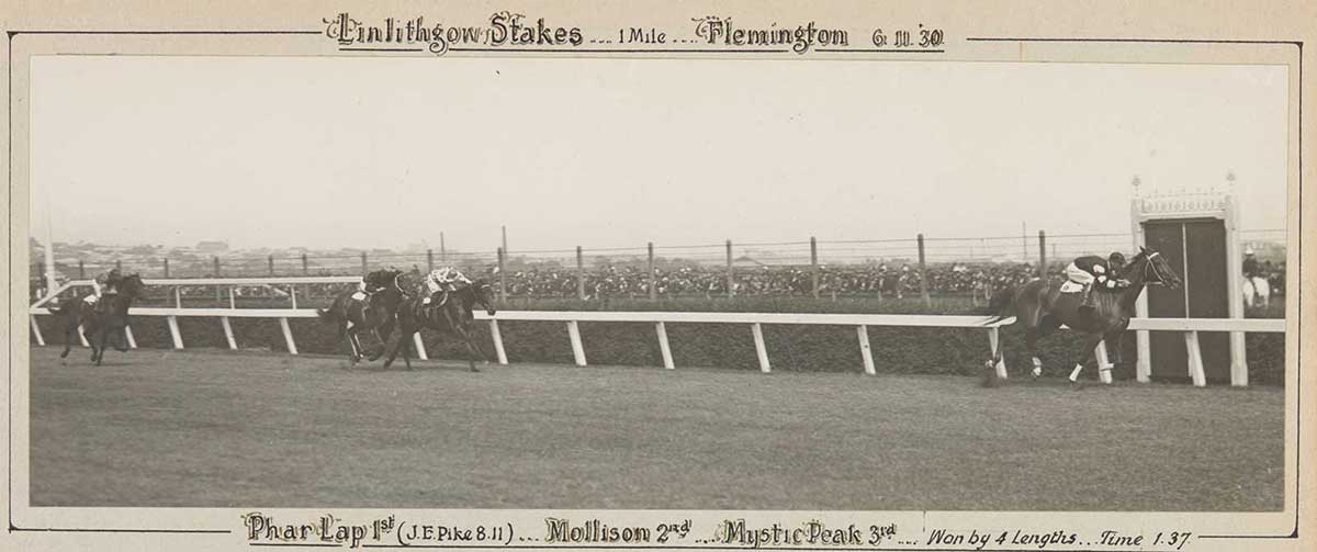 A black and white photo of Phar Lap winning the Linlithgow Stakes, 1930. - click to view larger image