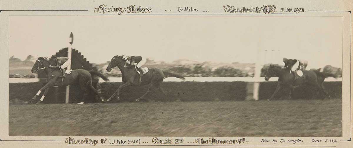A black and white photo of Phar Lap winning the Spring Stakes, 1931. - click to view larger image