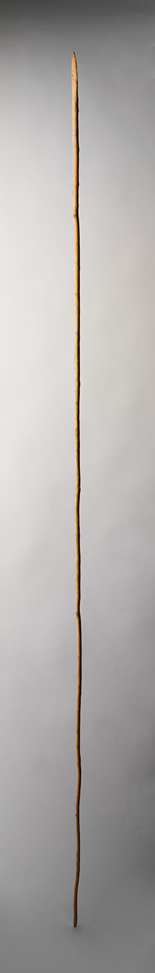 Wooden spears collected at Papunya in 1972. - click to view larger image