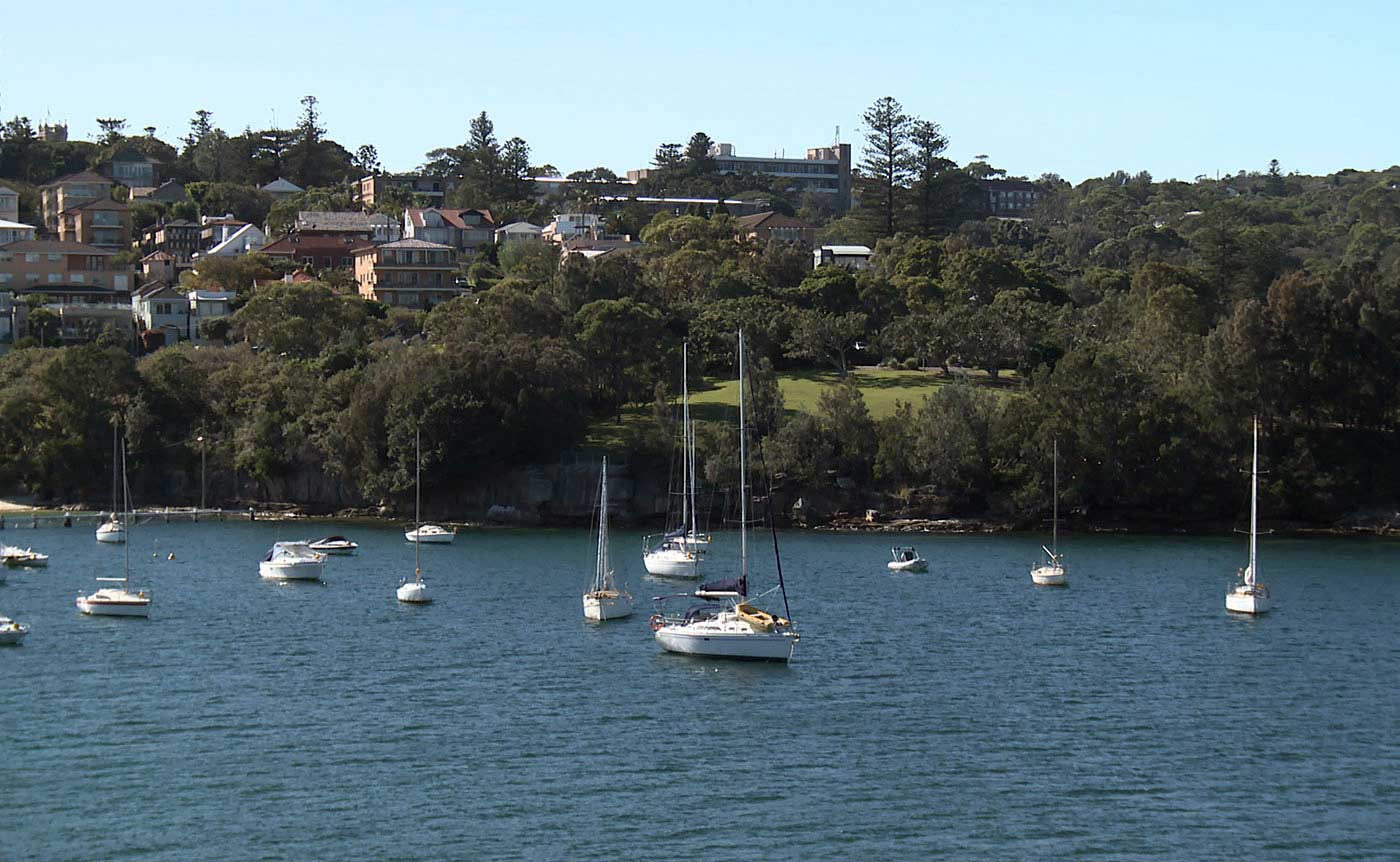 View of a bay with yachts, and residences and other buildings amongst trees in the background.