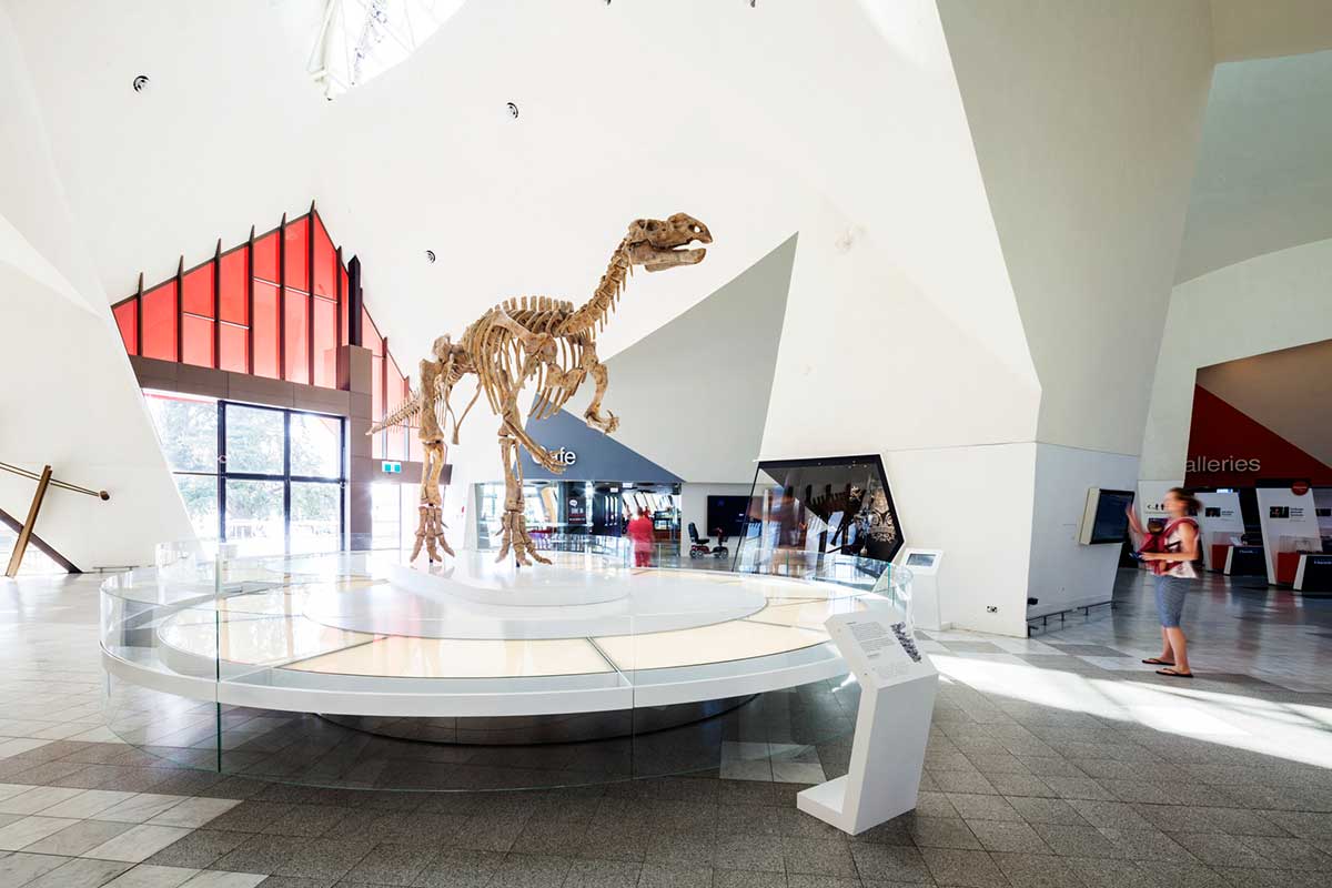 A skeleton of a prehistoric animal on display in a museum atrium.