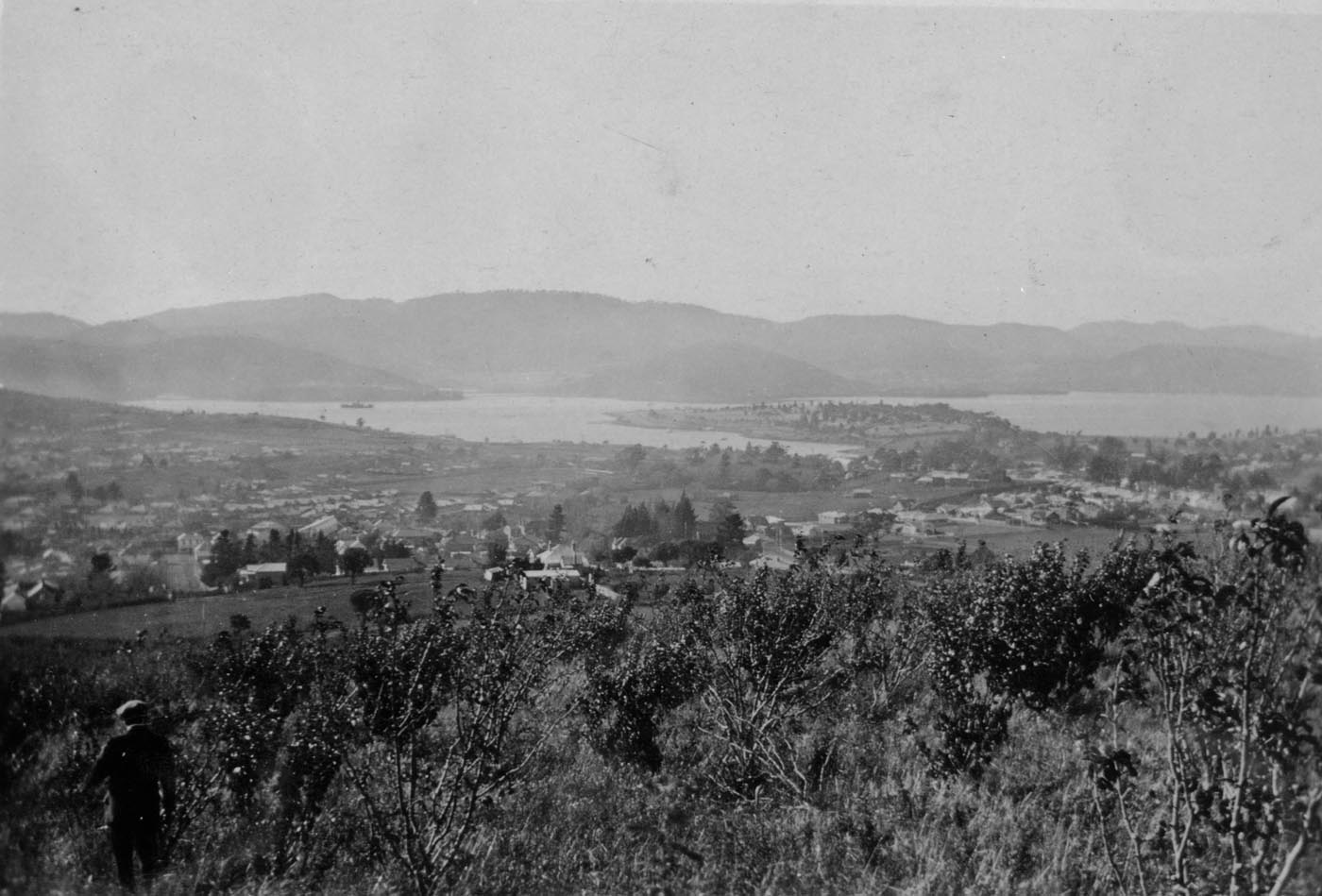 Black and white photo of a view from an orchard looking over a town with a river beyond.