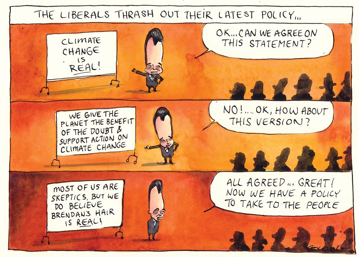 A cartoon divided into three horizontal panels. The heading says 'The Liberals Thrash Out Their Latest Policy...' In all three panels Brendan Nelson with a tall caricature head stands before a white board to the left of the image. To the right are seated party members in silhouette. The whiteboard and Dr Nelson say different things in each panel. Top panel: Brendan Nelson says to the party members 'OK...can we agree on this statement?' On the whiteboard is written 'Climate change is real!' Middle panel: Brendan Nelson says to the party members 'No!...OK, how about this version?' On the whiteboard is written 'We give the planet the benefit of the doubt & support action on climate change'. Bottom panel: Brendan Nelson says to the party members 'All agreed...great! Now we have a policy to take to the people'. On the white board is written 'Most of us are skeptics (sic), but we do believe Brendan's hair is real!' - click to view larger image