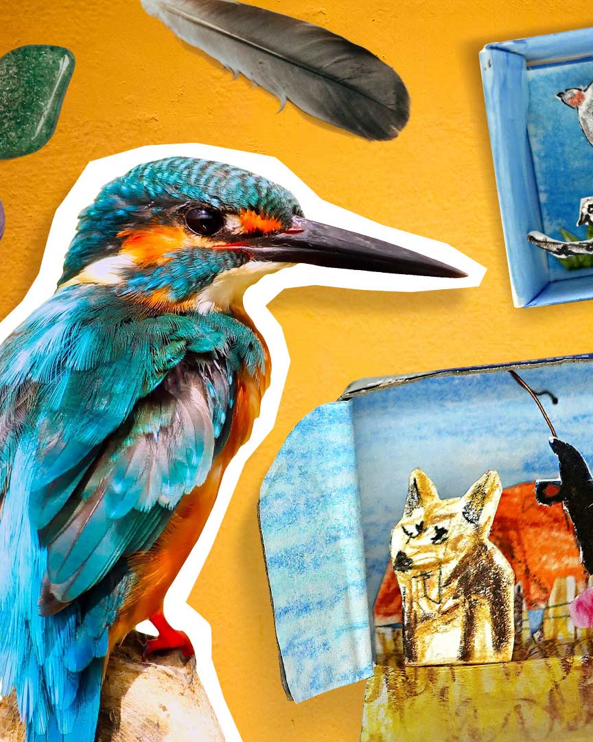 Composite image featuring a colourful bird cut-out and a diorama featuring birds.
