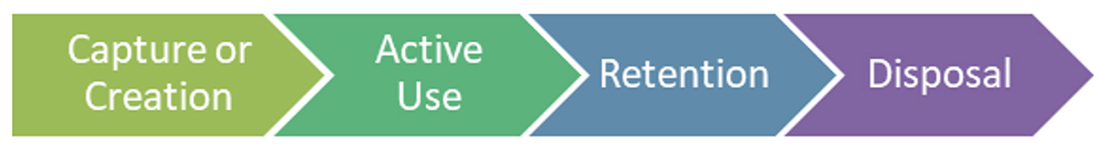 Diagram for 'The information lifecycle'.