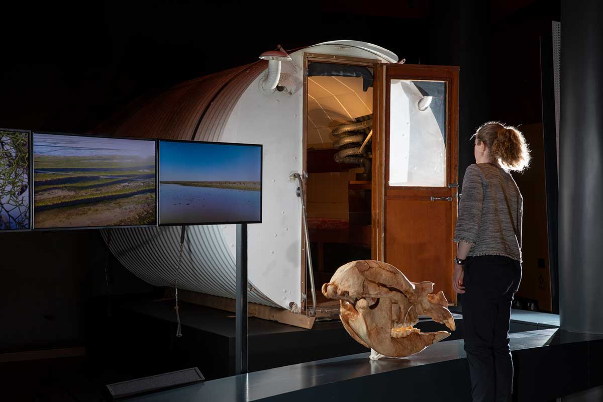 Museum gallery showing a large water tank, on its side, with a door cut into the top. A woman stands looking into the tank. Beside her is the large skull of an animal and several digital screens. - click to view larger image
