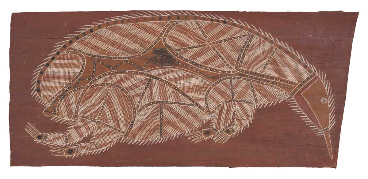A bark painting worked with ochres on bark. It depicts an echidna in x-ray style, with the organs painted in black with lines of coloured dots. The body is segmented also with lines of coloured dots and infilled with white, red and yellow crosshatching. The echidna is outlined with white spines and set against a red background. - click to view larger image