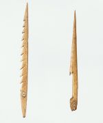 Left image: Harpoon point or fish spear made of possibly whalebone, with ten barbs on one side. Right image:  Also a harpoon point made of whalebone, with only one barb.