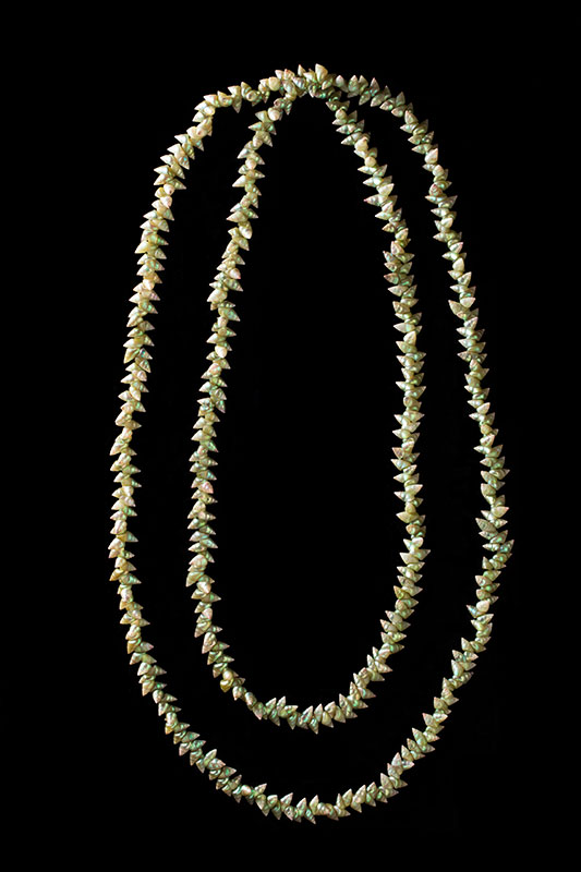A shell necklace on a black background. - click to view larger image