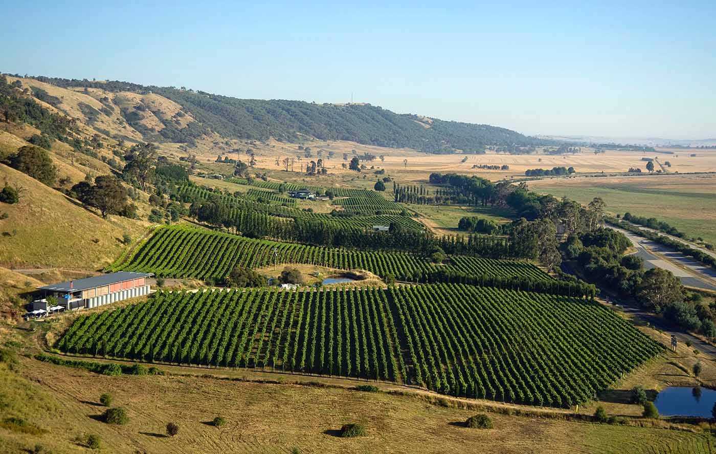 Photo, possibly an aerial shot, showing the vineyard with a dam in the middle and the winery building at its far left edge. Hills are visible in the distance, and a road on the right.