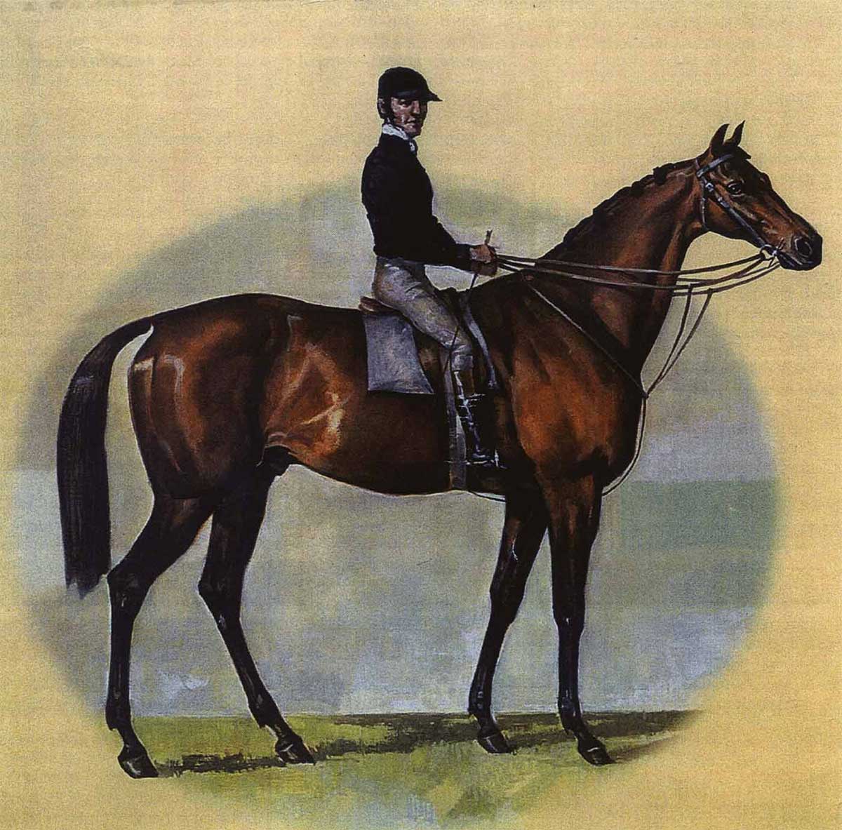 A horse and jockey. - click to view larger image