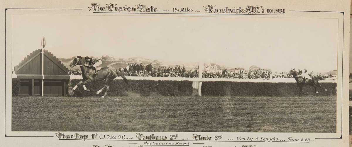 A black and white photo of Phar Lap winning the Craven Plate, 1931. - click to view larger image