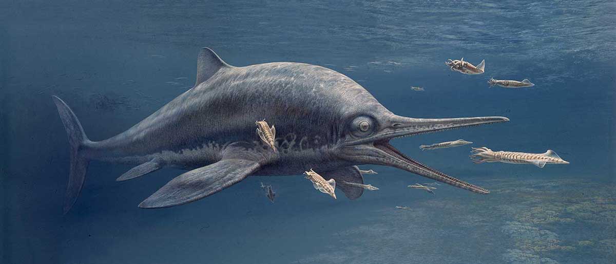 Colour illustration showing a dolphin-like marine reptile swimming among smaller fish. - click to view larger image