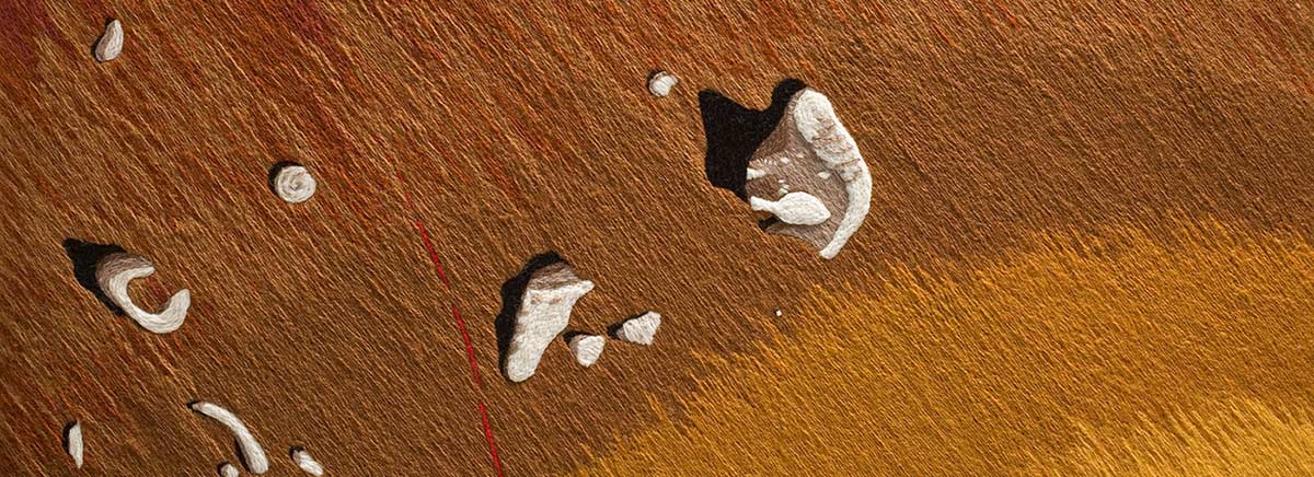 A detail from panel one of 'The Crimson Thread of Kinship' embroidery featuring pieces of shells with a three-dimensional appearance. - click to view larger image