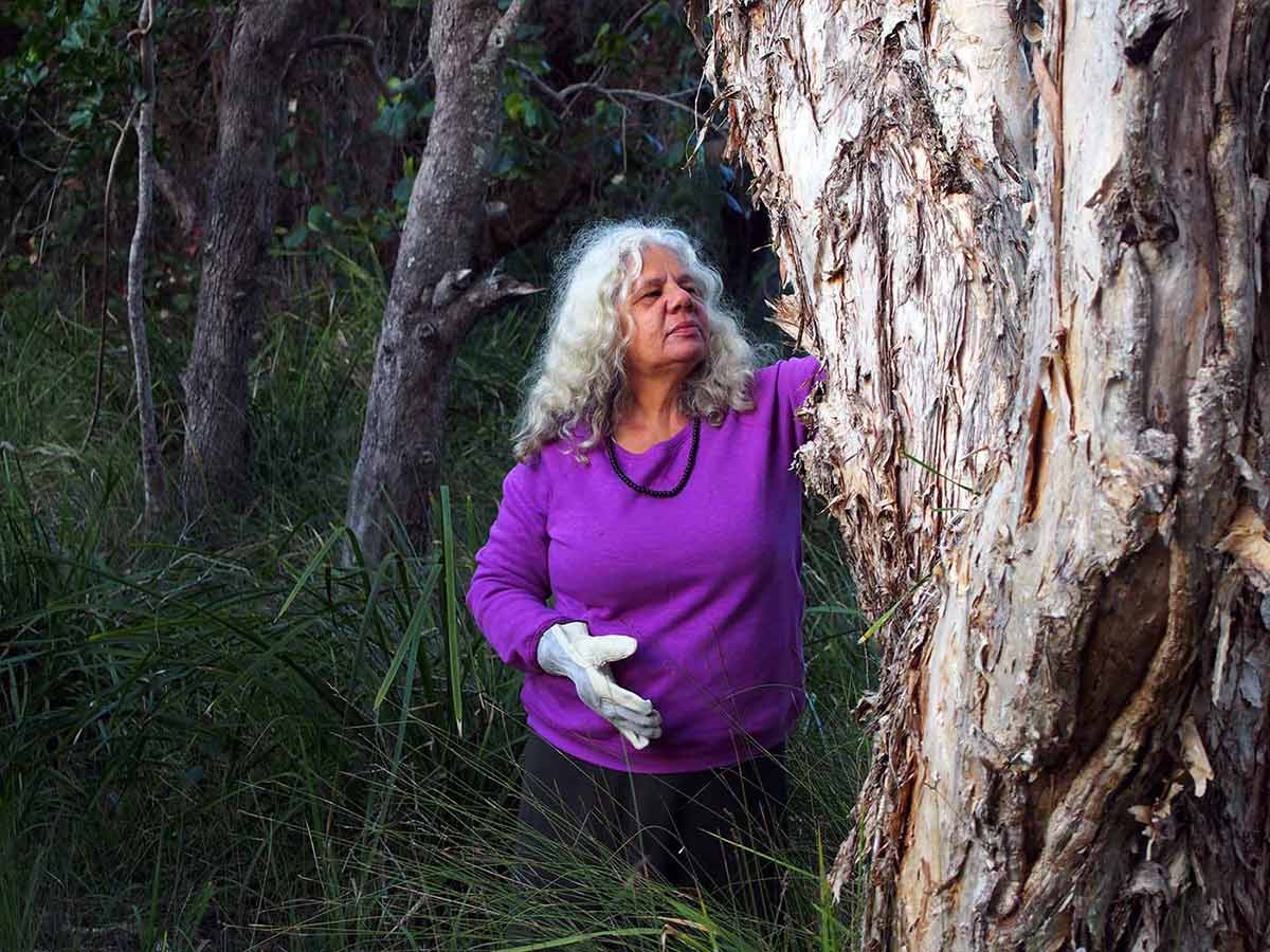 A woman with long grey hair inspects a gumtree in a forest.