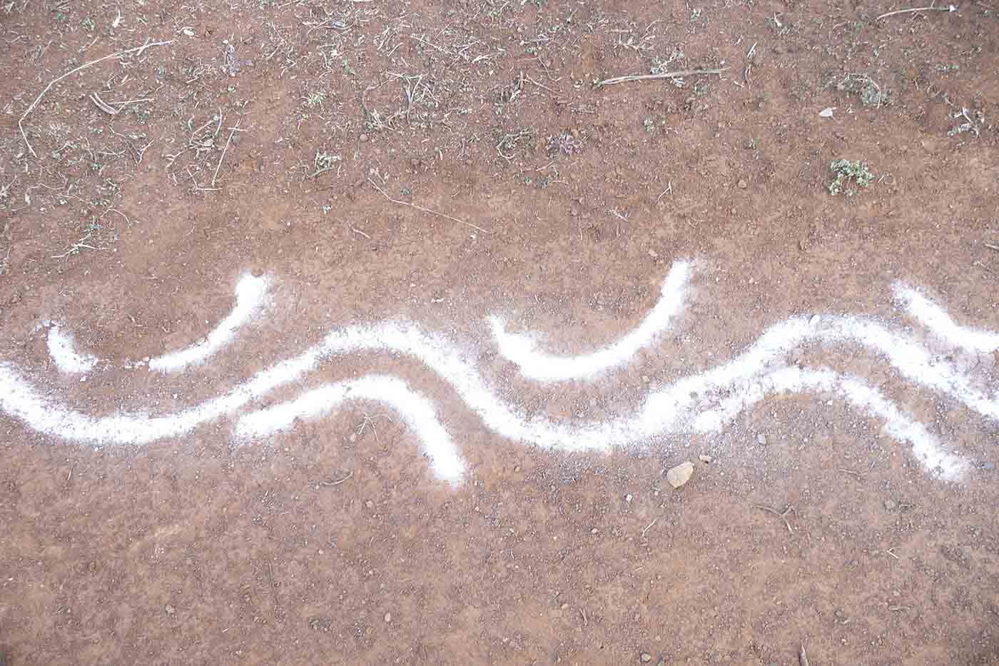 A series of white curved marks on the ground.