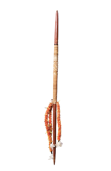 A colour photograph of an Australian Indigenous digging stick. The stick stands one one end. It has sharpened ends and three decorative strings made from feathers tied to it. The end sections are painted brown and appear to have been waxed. String has been tied around the middle of the stick. - click to view larger image