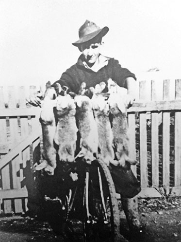 Photograph of man with bush hat standing by his bike that is loaded with a catch of rabbits across the handlebars, Victoria, 1943 - click to view larger image