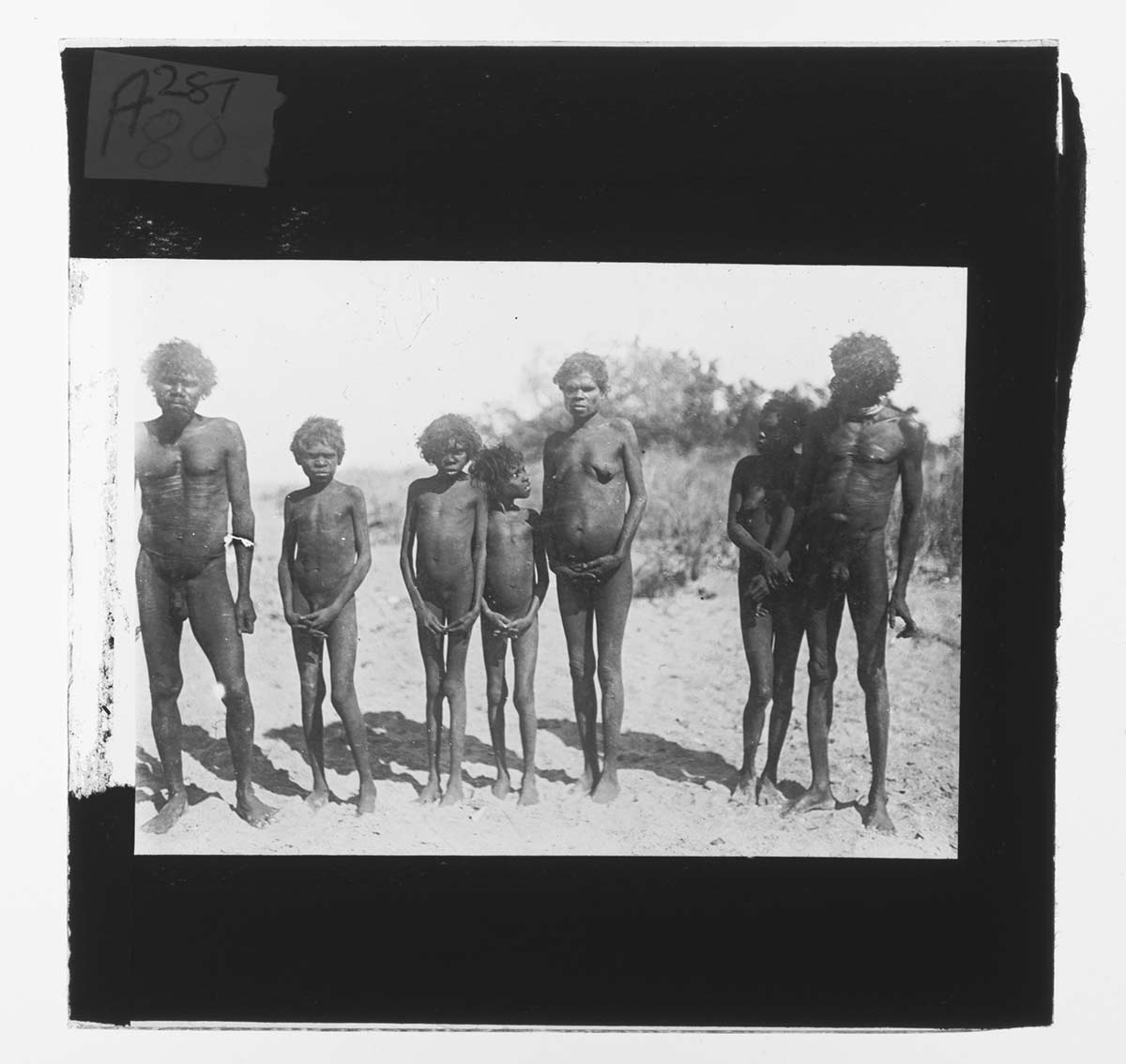 Seven Aboriginal people standing in a line, Cape Dombey, Northern Territory 1905. Two men stand at each end of the line; the one to the right looks along the line. Between them are women and children. Four of them stand with their hands modestly clasped in front of their groins. The group stands on bare sandy soil. - click to view larger image