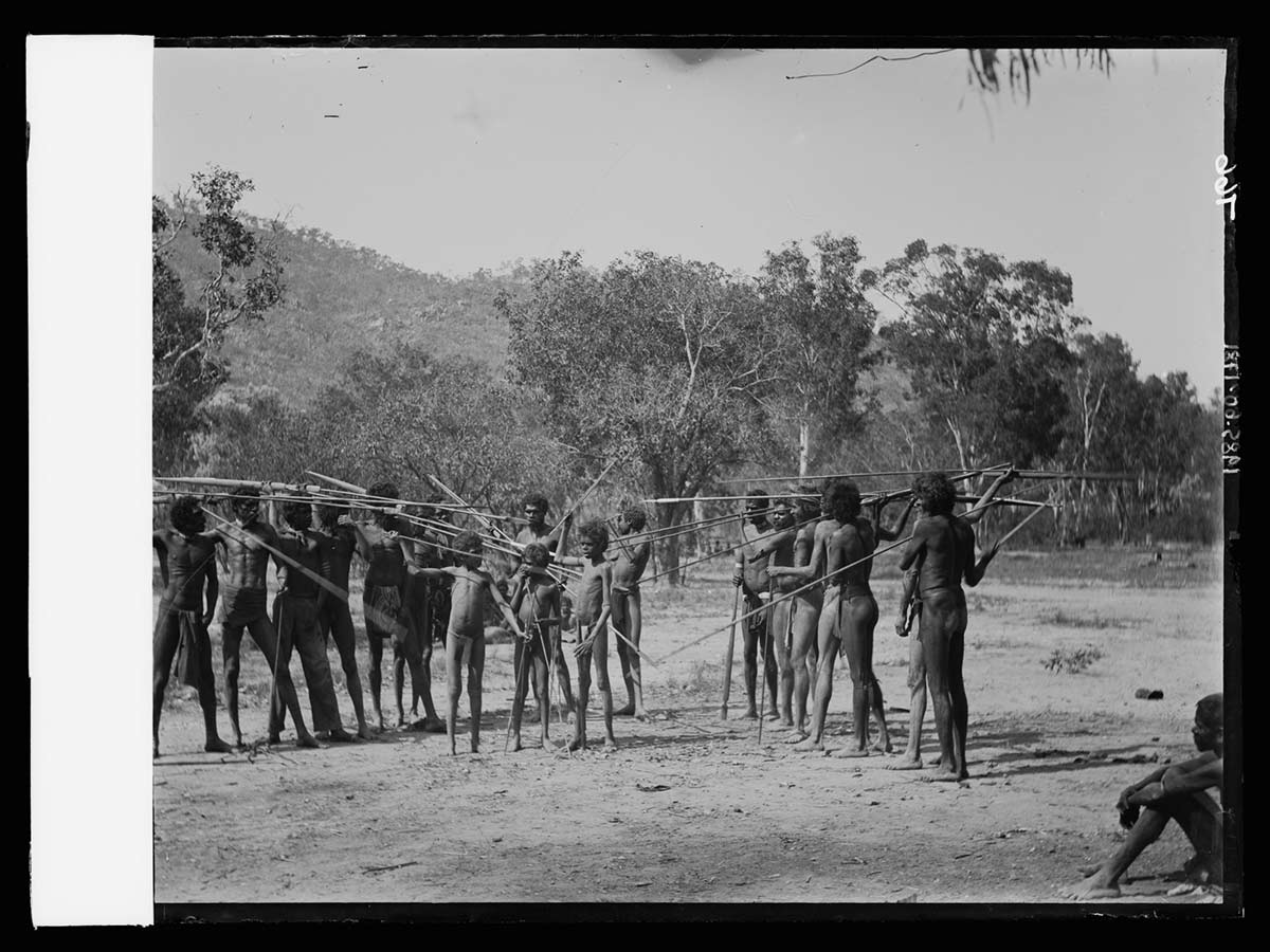 Two groups of men standing facing each other holding spears, Anson Bay, Northern Territory probably 1905. The men hold their spears at head height. A smaller group of younger Aboriginal males stands between the larger groups, also holding spears. An Aboriginal man sits on the ground in the far right foreground, looking toward the groups. - click to view larger image