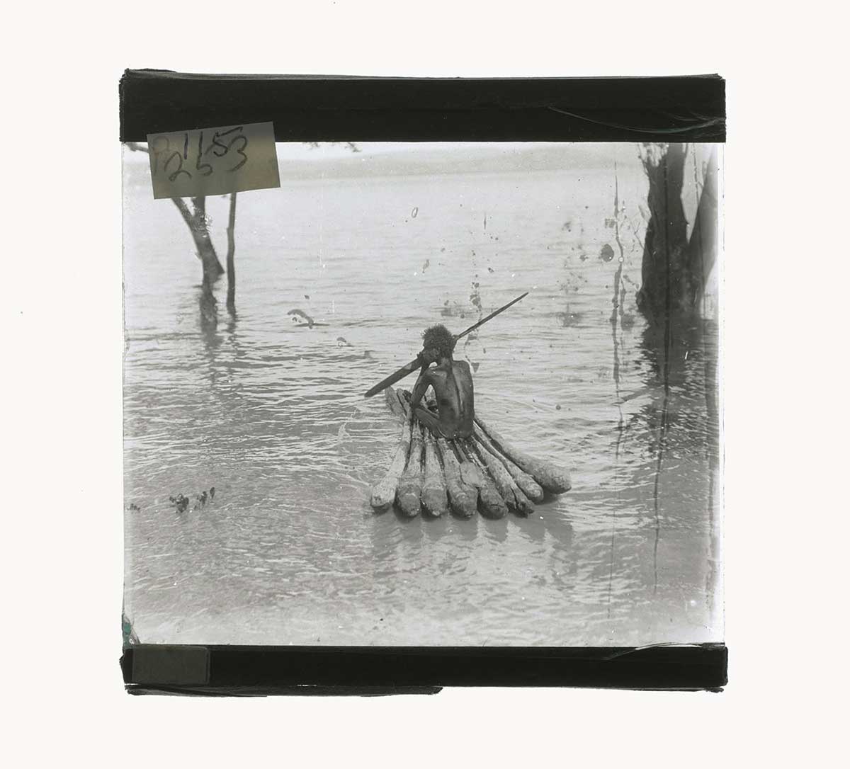 A young Worora man paddling on a raft made from mangrove trees, George Water, Western Australia 1916. The raft is made up of eight tree sections tied together. The young man holds a paddle-like implement in one hand; he has his back to the camera. Partly submerged tree trunks are ahead to the left and right. The water's surface is lightly rippled. - click to view larger image