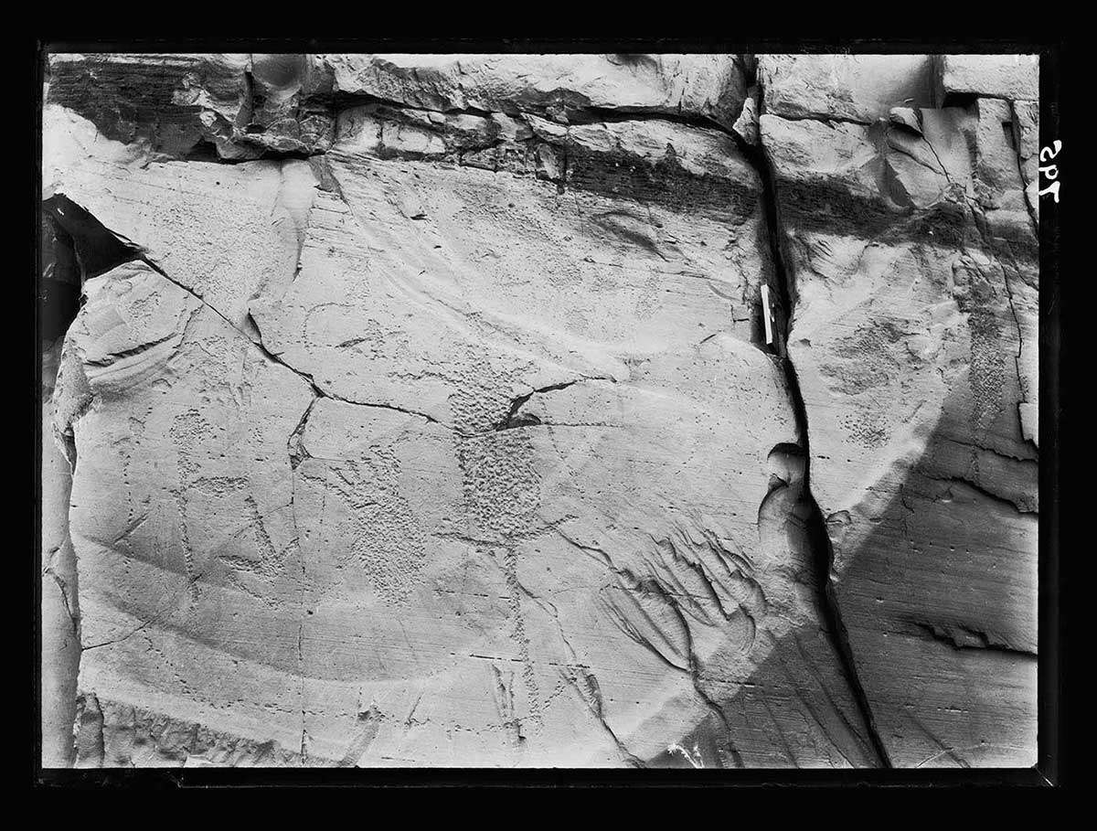 Rock engravings, Deception Creek, Flinders Ranges, South Australia 1905 to about 1913. A small set of engravings is visible on a smooth section of a rock face. The Aboriginal customary designs are difficult to see on the rock face; one of them appears to be a representation of an animal. The engravings have been made by stiple marks, which are multiple dots creating each separate design. A large fissure in the rock face at the right appears to separate one small engraving from the others. - click to view larger image