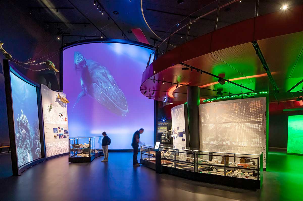 Exhibition space featuring ocean scenes on digital screens. - click to view larger image