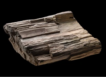 A cream, brown and grey piece of fossilised tree trunk. The trunk is semi-circular with an indent running down the centre. There are cracks in the stone along the rings of the tree, and traces of blue paint across the top.