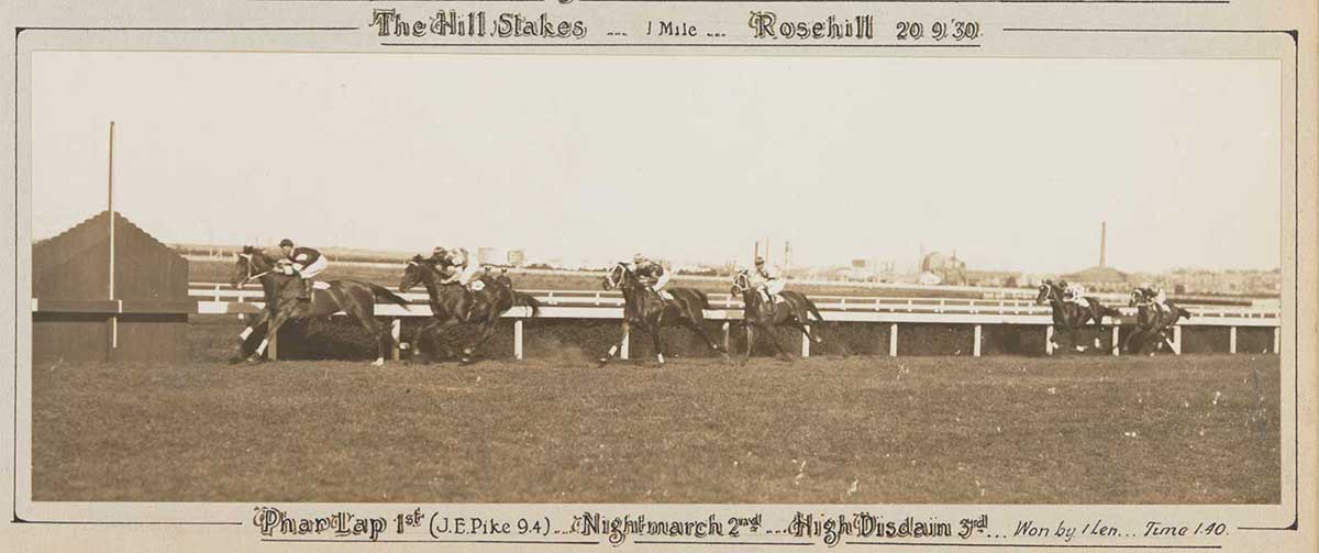 A black and white photo of Phar Lap winning the Hill Stakes, 1930. - click to view larger image
