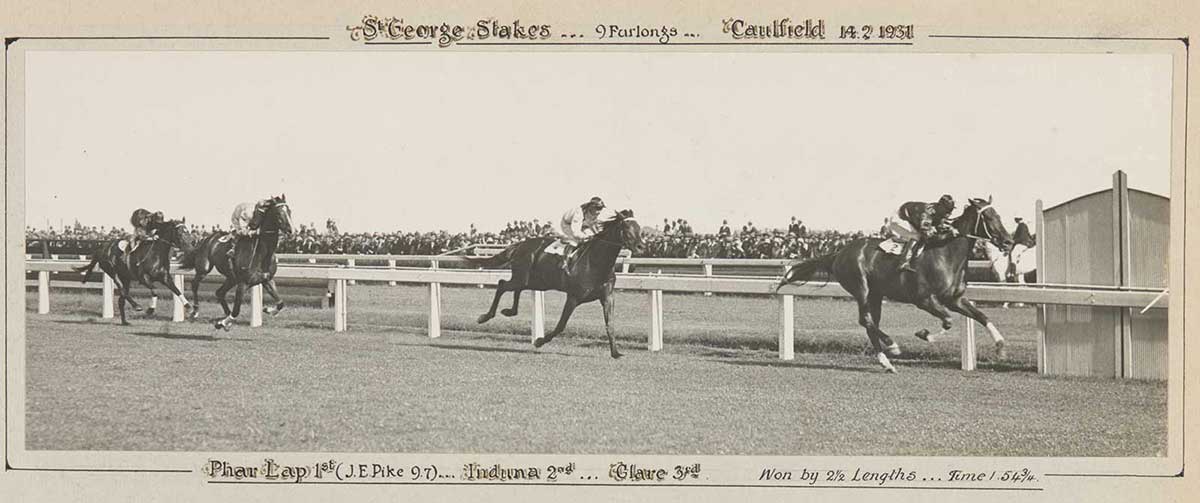 A black and white photo of Phar Lap winning the St George Stakes, 1931. - click to view larger image