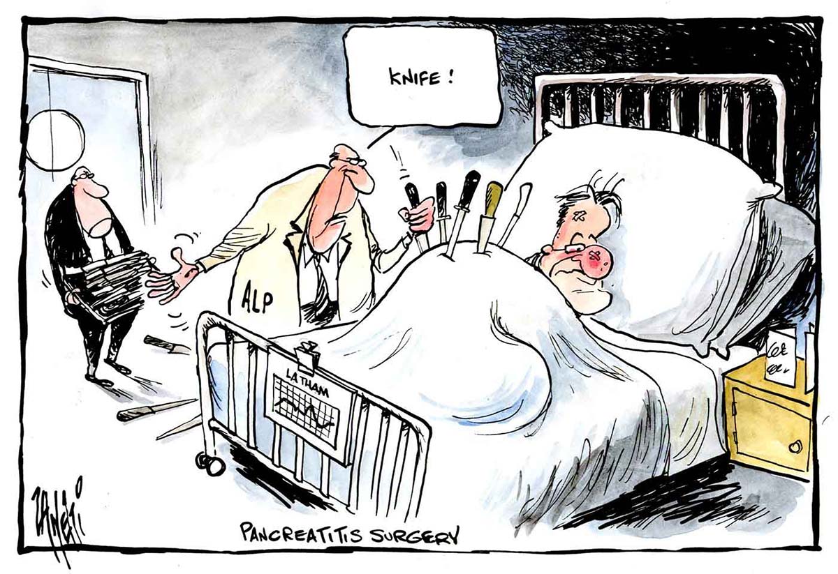 Political cartoon. - click to view larger image