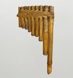 Panpipe consisting of nine bamboo segments arranged in one plane next to each other. The bamboo segments are bound together with plant fibre strips.
