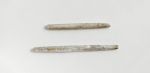 Ear sticks of two long, round and white rods polished, made from a seashell.