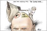 Cartoon close up of Peter Garrett's bald head, with environmental stickers on top. Kevin Rudd is on a ladder in the background trying to comb hair over Garrett's head.