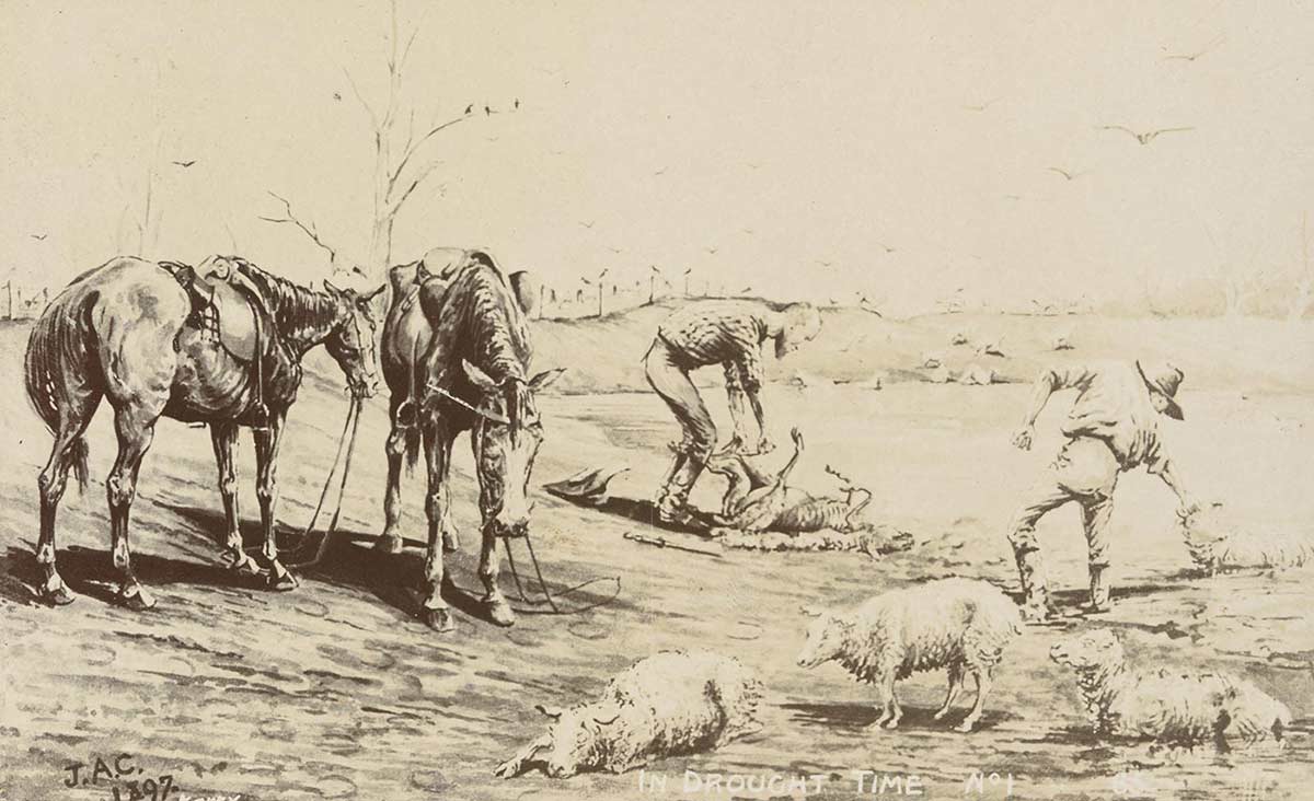 Illustration of malnourished sheep and horses in dry creek. - click to view larger image