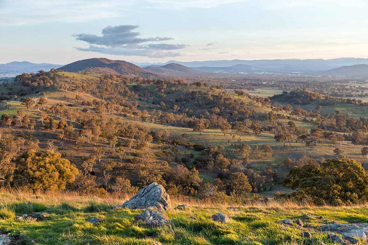Landscape featuring tree covered hills with buildings in the background.