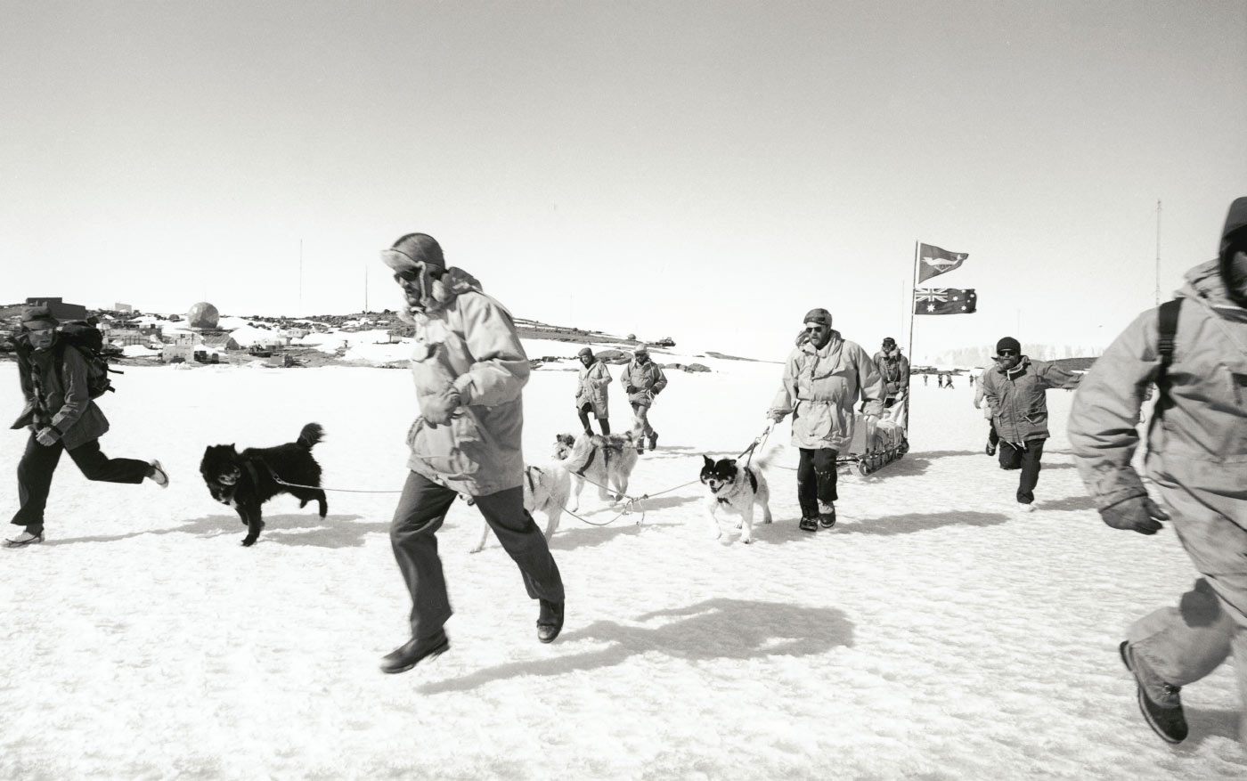 Black-and-white photo of a group of men running across the snow with sled dogs pulling a sled with two flags attached including the Australian flag.