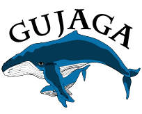 National Museum Australia Logo