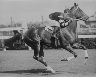 Jockey Jim Pike on Phar Lap at Flemington in 1930