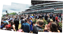 Racegoers