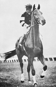 Phar Lap being ridden by jockey Billy Elliot in Mexico, 1931