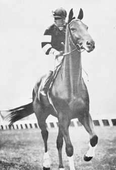 Phar Lap